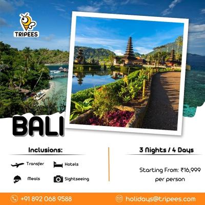 Bali Holiday Package - Other Other