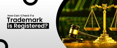 How Can I Check if a Trademark is Registered - Delhi Professional Services