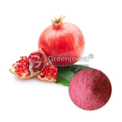 Wholesale Organic Pomegranate Seed Powder - Other Other