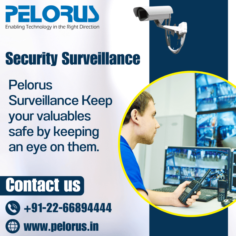 Security Surveillance | Pelorus - Mumbai Computer