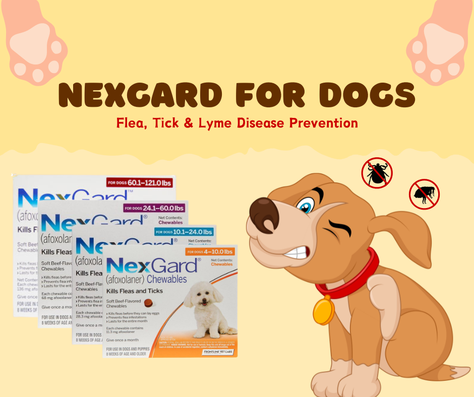 Nexgard For Dogs: Buy Nexgard Flea and Tick Protection Online | BestVetCare