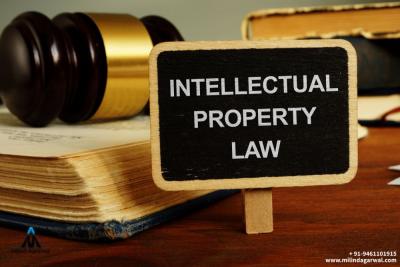 Ipr and Cyber Lawyer