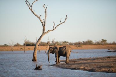 New Wildlife Reserves in Rajasthan