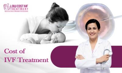 Explore the Cost of IVF Treatment Procedure - Low Cost IVF Treatment