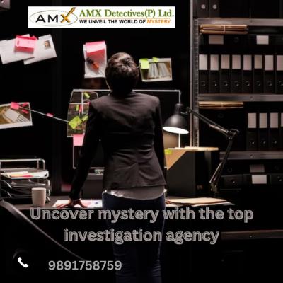 Trust with the Excellent AMX Detective Agency in India