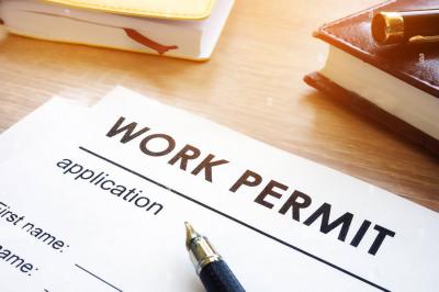 Work Permit Consultants In Panchkula