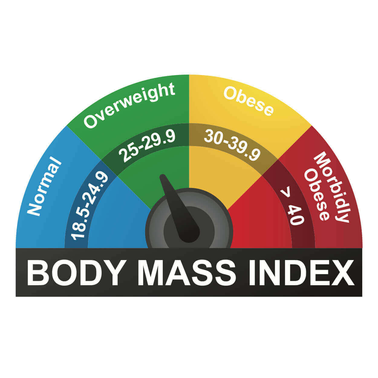 BMI Calculator: Essential Tool for Health Management