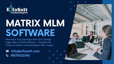 Matrix MLM Plan: