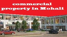 Commercial Property In Mohali - Chandigarh Other