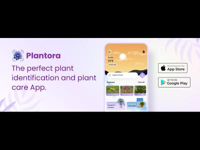 The Best Plant Identification and Plant Care App- Plantora