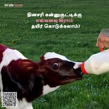 Healthcare for your livestock - Coimbatore Livestock