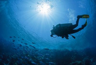 Enroll in SSI Specialty Courses in Andaman | Seahawks Scuba - Hyderabad Tutoring, Lessons
