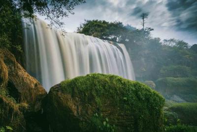 Best Meghalaya Tour Packages| Traverse To The Dream Land Like Never Before - Gurgaon Other