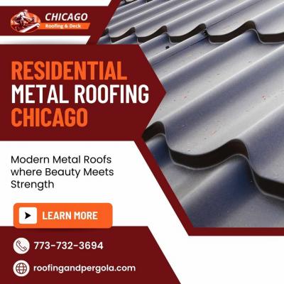 Residential Metal Roofing  - Chicago Other