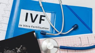 IVF Patients in Louisiana | Compassionate Care at Audubon Fertility