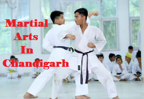 Martial Arts In Chandigarh - Chandigarh Other