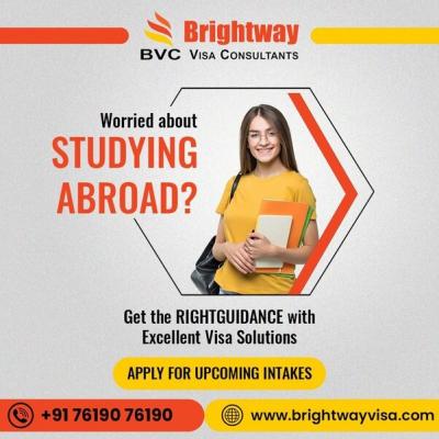 Best Visa Consultants in Ludhiana - Chandigarh Other