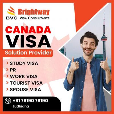 Best Visa Consultants in Ludhiana - Chandigarh Other