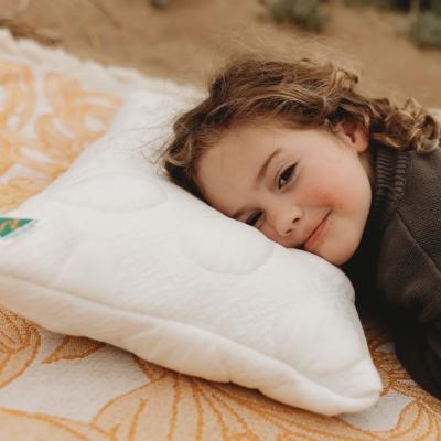 Milari Organics Presents: Organic Toddler Pillow