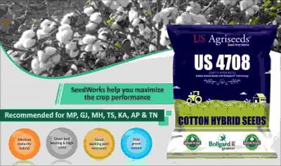 Hybrid Seeds Company in India