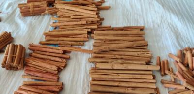 Premium Ceylon Cinnamon Supplier - Spice Up Your Life