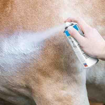 🐾🌟🛡️ Aloxan® Spray Argento: Protezione per la Pelle Sensibile degli Animali 🌿🌼 - Milan Home & Garden