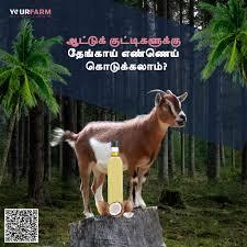 Healthcare for your livestock - Coimbatore Livestock