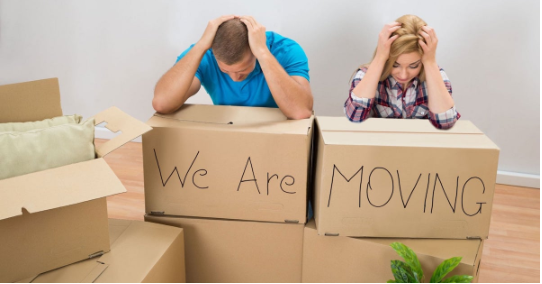 Movers in Laurel Springs NJ - Other Professional Services