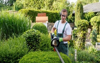 Commercial Lawn Maintenance Services - Brisbane Professional Services