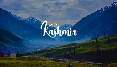 Kashmir Tour Packages| Tours, Blogs, Guides & More | WanderOn