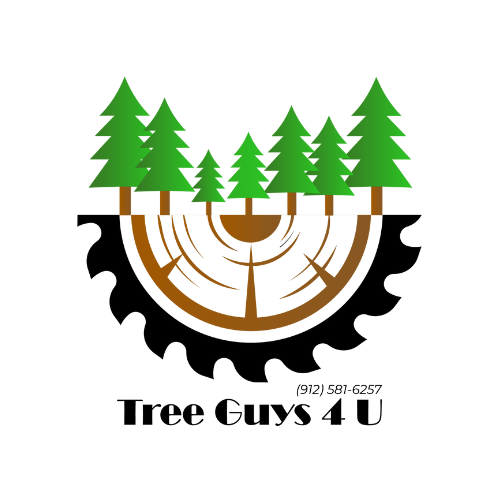 Tree guys 4 U - Other Other