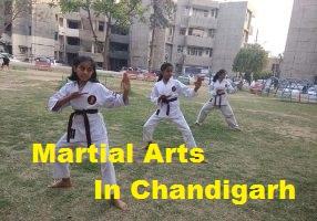 Martial Arts In Chandigarh - Chandigarh Other