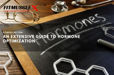 An Extensive Guide to Hormone Optimization | FitMuscleX