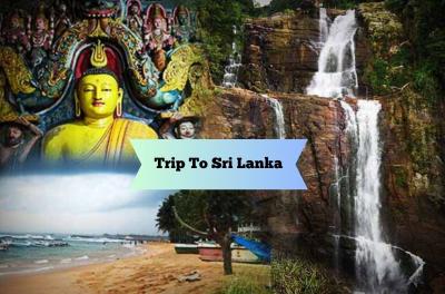 Sri Lanka: Unveiling an Island Paradise Rich in History and Nature - Delhi Tickets