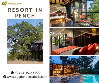 Resort in Pench - Other Hotels, Motels, Resorts, Restaurants