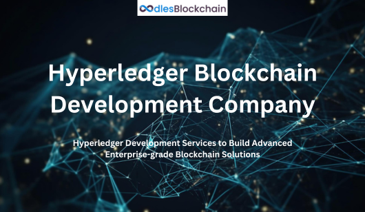 Hyperledger Development Company | Oodles Blockchain - Washington Professional Services