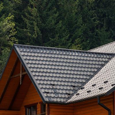 Roofing Services in Minneapolis, MN