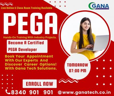Pega training in Ameerpet | 8340901901 Ganatech Solution - Hyderabad Professional Services