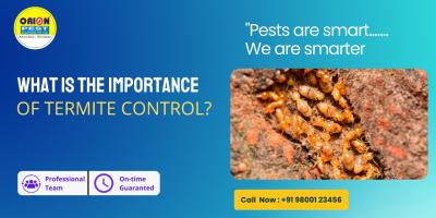 Why Termite Control is Important?