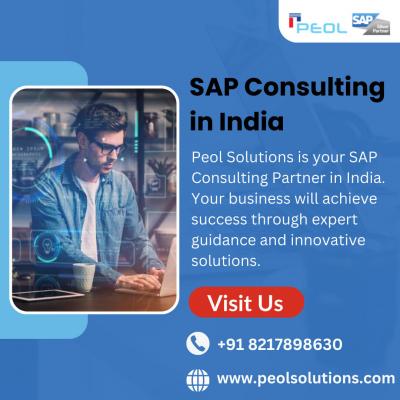 SAP Consulting in India - Bangalore Other