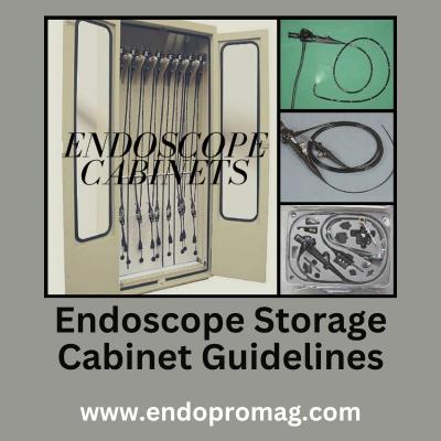 Endoscope Storage Cabinet Guidelines Revealed - Other Other