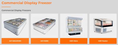 Keep It Cool & Keep It Selling: Hubs Engineering's Ice Cream Freezers