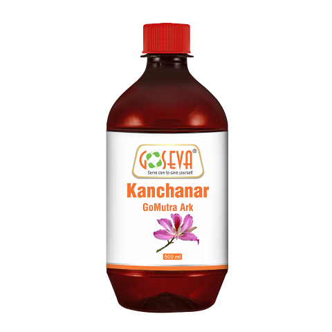 Kanchanar Gomutra Ark