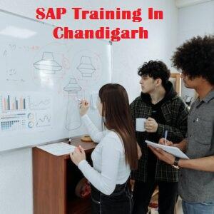 SAP Training In Chandigarh - Chandigarh Other