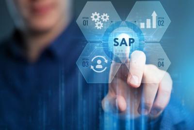 Rise With SAP Support  - Dubai Computer