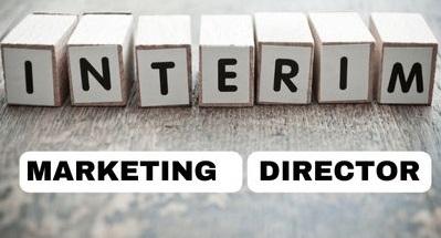 Looking for an Expert Interim Marketing Director? Connect Today!