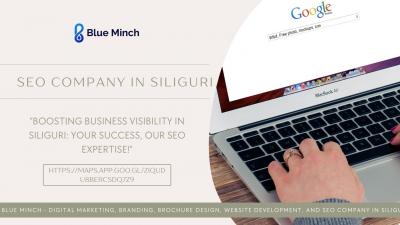 Effective Search Results: SEO Company in Siliguri - Other Professional Services