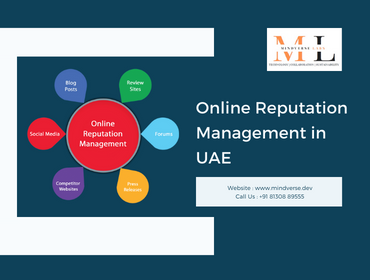 Online Reputation Management in UAE - Dubai Professional Services