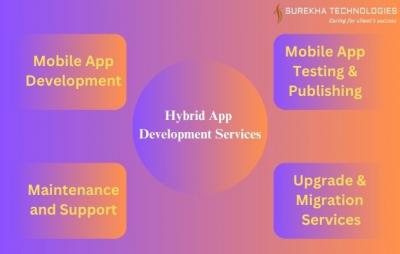 Hybrid Mobile App Development Company - Los Angeles Other