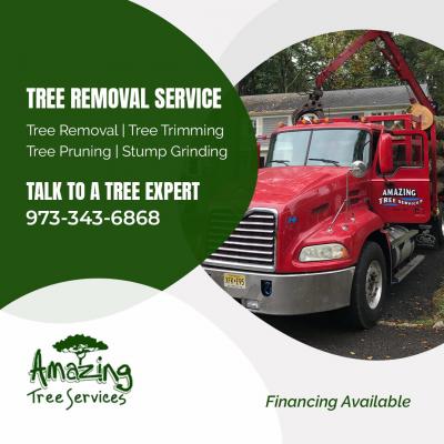 Tree Removal Service in NJ - Other Other